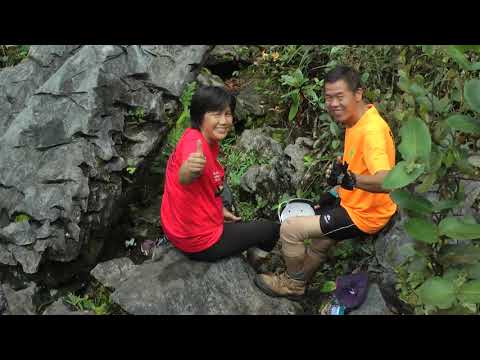 B Mulu Pinnacles SARAWAK 24 26 4 2016 下集