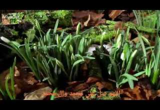 باسم كربلائي حسافه بزماني حزين جدا