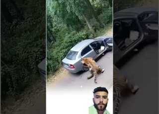  مهما بلغت احتياطاتك ومهما احتميت بجدران الحديد يبقى أمانك في يد الله وحده Shorts