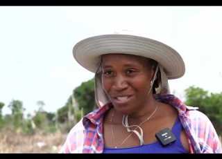 JPS Foundation Climate Action Expo 2026 Jamaica S Climate History