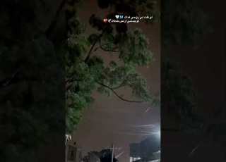 لو قلت لي روحي فداك لوجدتني ارعى خطاك انشودة ليل هواء حالات واتس ستوريات شجرة