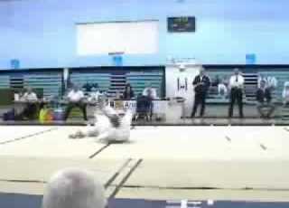  Shobu Ippon 2006 Karate Demonstration