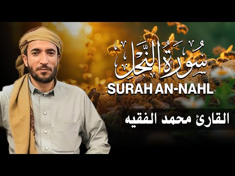 سورة النحل كاملة مكتوبة للقارئ الشيخ محمد الفقيه تلاوة خاشعة ومؤثرة