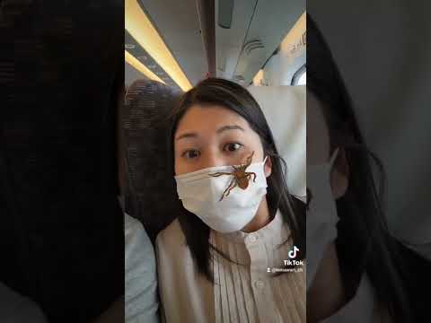 ママにクモドッキリしてみた Shorts