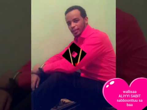 Aliyyii Saabit Sabboonttuu Sabaa New Song