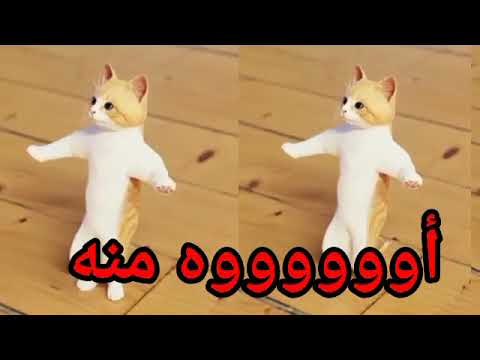 منة منه اغنية باسم منة الزينة اغنية منة السعودية الكويت العراق تركيا قطر الجزائر دبي جده الرياض منة منه اغنية باسم منة الزينة اغنية منة السعودية الكويت العراق تركيا قطر الجزائر دبي جده الرياض