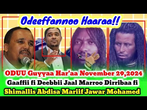 Jaal Saanyii Nagaasaa Jaal Marroo Dirribaa Fi Shimalisi Abdisa Fi Jawar Jaal Saanyii Nagaasaa Jaal Marroo Dirribaa Fi Shimalisi Abdisa Fi Jawar