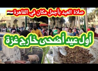  كيف استقبلنا اول عيد أضحى النا في مصر يا جمالك يا مصر في العيد أجواء خرافية للعيد في القاهرة