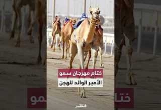 إسدال الستار على مهرجان سمو الأمير الوالد للهجن العربية الأصيلة وسط منافسات قوية