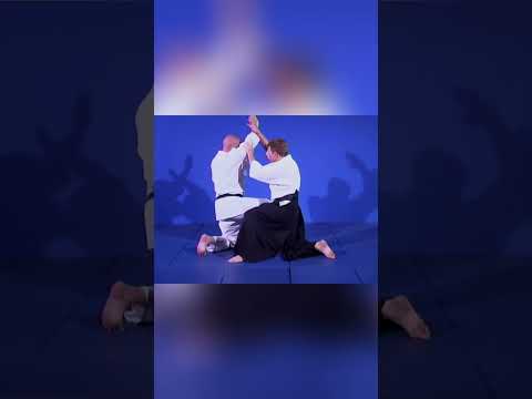 Meister Nikyo Sawari Waza Ura Die Ultimative Shomenuchi Verteidigung Shorts