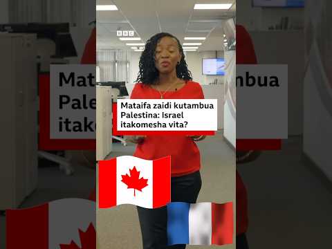 Mataifa Zaidi Kutambua Palestina Israel Itasalimu Amri