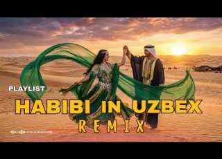  Arabic Songs 2026 Best Remix Hits Habibi DJ Mix Nonstop Dance Music