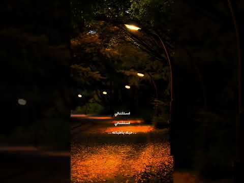 تركضلي تركضلي وفاتح ايدك بدت تمطر زيد الحبيب اغاني ستوريات حالات واتس حب ترند Trending تركضلي تركضلي وفاتح ايدك بدت تمطر زيد الحبيب اغاني ستوريات حالات واتس حب ترند Trending