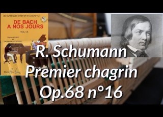  R Schumann Premier Chagrin Op 68 N 16