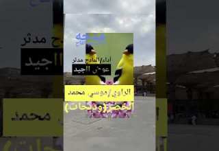 الراوي موسي محمد الخضر ود بحات مدحة النسيم الفاح