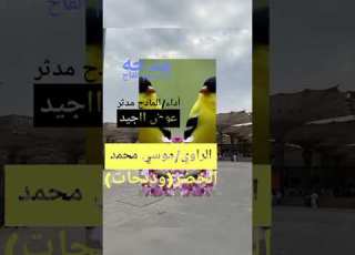 الراوي موسي محمد الخضر ود بحات مدحة النسيم الفاح