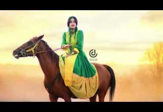 صدای ناب گنجعلی کریمی ترکی قشقایی