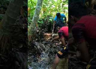 We Cleaned Our Cannel Nature Cleaning Cannel Villagelife