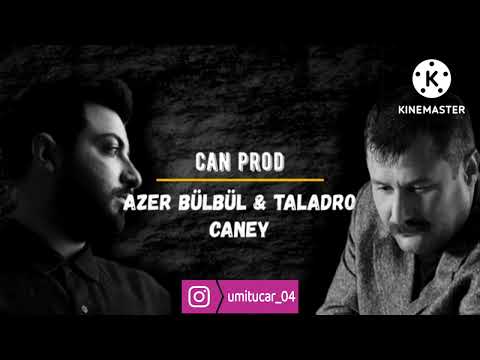 AZER BÜLBÜL TALADRO CANEY