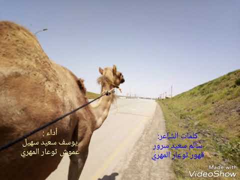 شيلة من التراث المهري مترجمة عربي مهري كلمات سالم سعيد سرور المهري وأدا يوسف سالم سهيل المهري