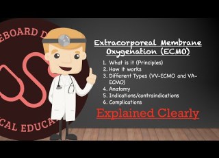  Extracorporeal Membrane Oxygenation ECMO Basics Comprehensive Overview Clinical Medicine