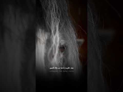 على درب الوداع الي ملاه الجور حالات خيول حزينة