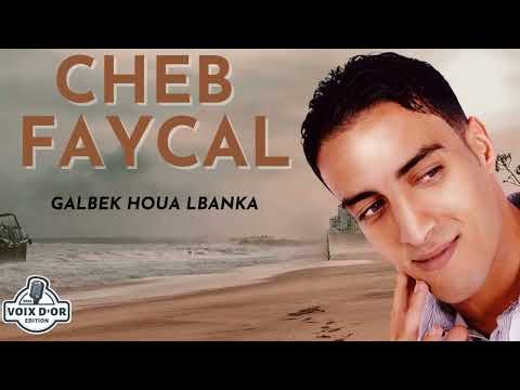 Cheb Faycal Galbek Houa Lbanka