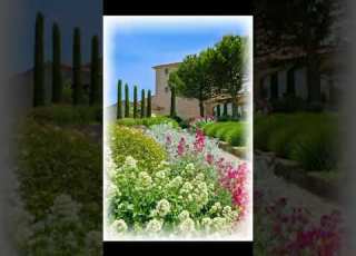 همسات عابرة موسيقى رومانسية هادئة