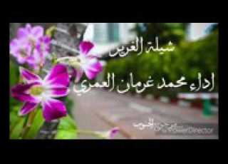  شيله الغرير محمد غرمان العمري