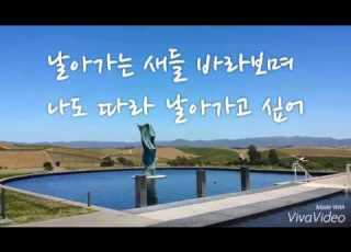 변진섭 새들처럼 가사