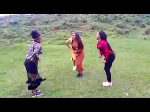 Qarree Oromo Oromiyaa Dachee Magarisaa