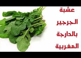 الجرجير فوائده على الشعر والجسم