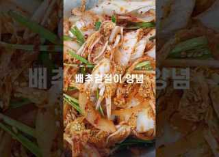  배추겉절이 양념 배추겉절이 쉽게 만드는 법 배추겉절이 담그는법 Fresh Kimchi Baechu Geotjeori