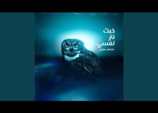 خبت نار نفسي باشتعال مفارقي الشافعي