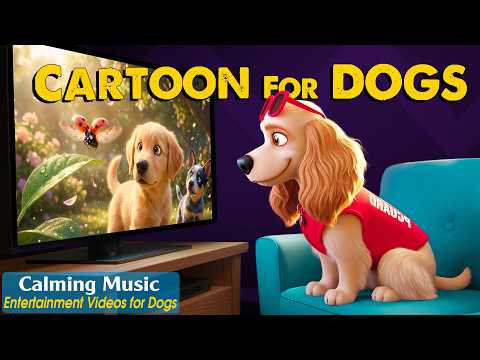 Dog Cartoon Relaxing DOG TV For Dogs To Watch Home Alone Calm Stress Anti Anxiety Music For Dogs