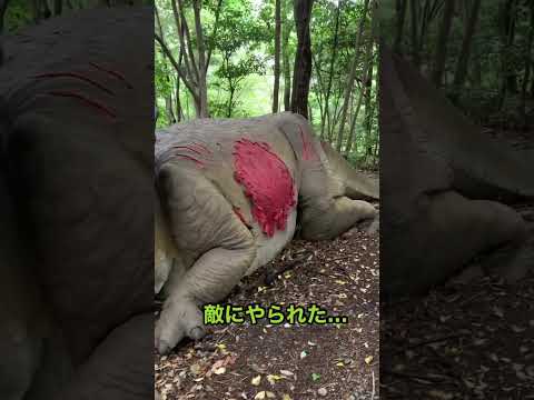 恐竜探検行ってみた 大高緑地 ディノアドベンチャー 恐竜探検 ティラノサウルス トリケラトプス