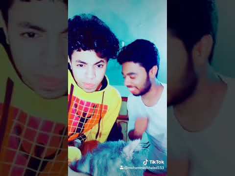 تك توك شوفت البت الجميلة Mostafa Khaled Mohammed Khaled تك توك شوفت البت الجميلة Mostafa Khaled Mohammed Khaled