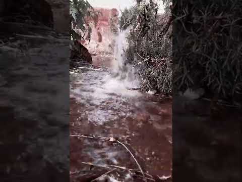 نغمات رنين انت قلب قلبي الك