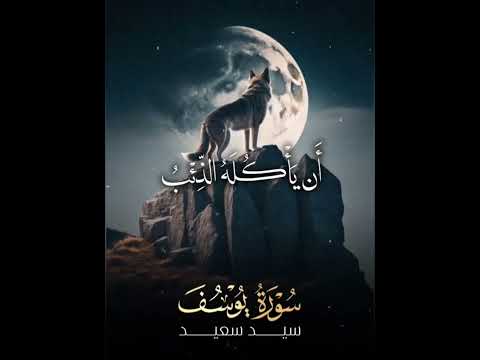 الشيخ السيد سعيد قال إني ليحزنني أن تذهبوا به سورة يوسف