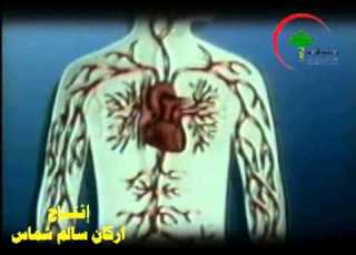 تلفزيون الحق القلب