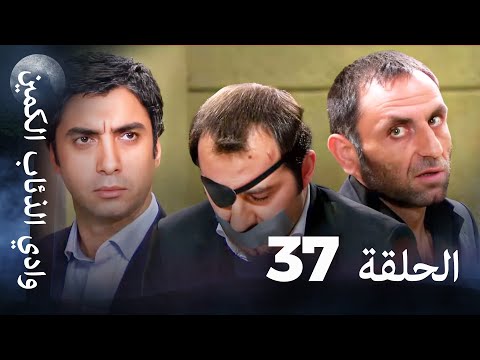 وادي الذئاب الكمين الحلقة 37 بجودة عالية الدقة