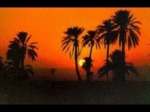 اغنية يا حبيبة للفنان القدير عباس الاسحاقي