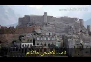 الشرح البيضاني صوت نسائي