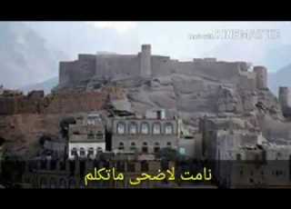 الشرح البيضاني صوت نسائي