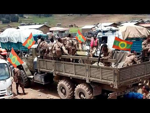 Dubii Jajjabduu Yerro Amma Dema Jirrtu March 15 2026