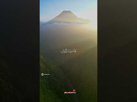 فلما نسوا ما ذكروا به تلاوة للشيخ محمود علي البنا من سورة الأنعام قران كريم فلسطين