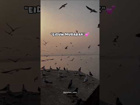 Let S Enjoy This Happy Day Eidaladha Eidmubarak Happyday Shorts Let S Enjoy This Happy Day Eidaladha Eidmubarak Happyday Shorts