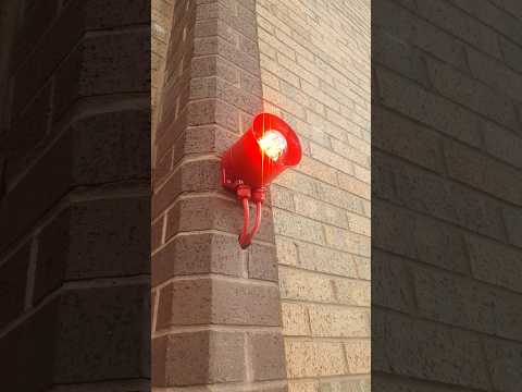 Fire Alarm Going Off Hochiki