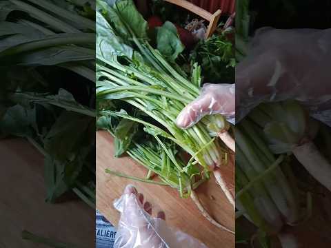 الطريقة الصح لطبخ السبانخ هتخليها تحتفظ بكل الفيتامينات عشاءلذيذ Food طبخ اكلات Cooking