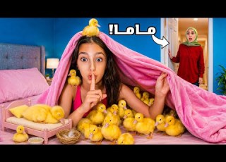  تيما جابت بط على البيت بدون علم الماما وعملتلهم بيت كبير
